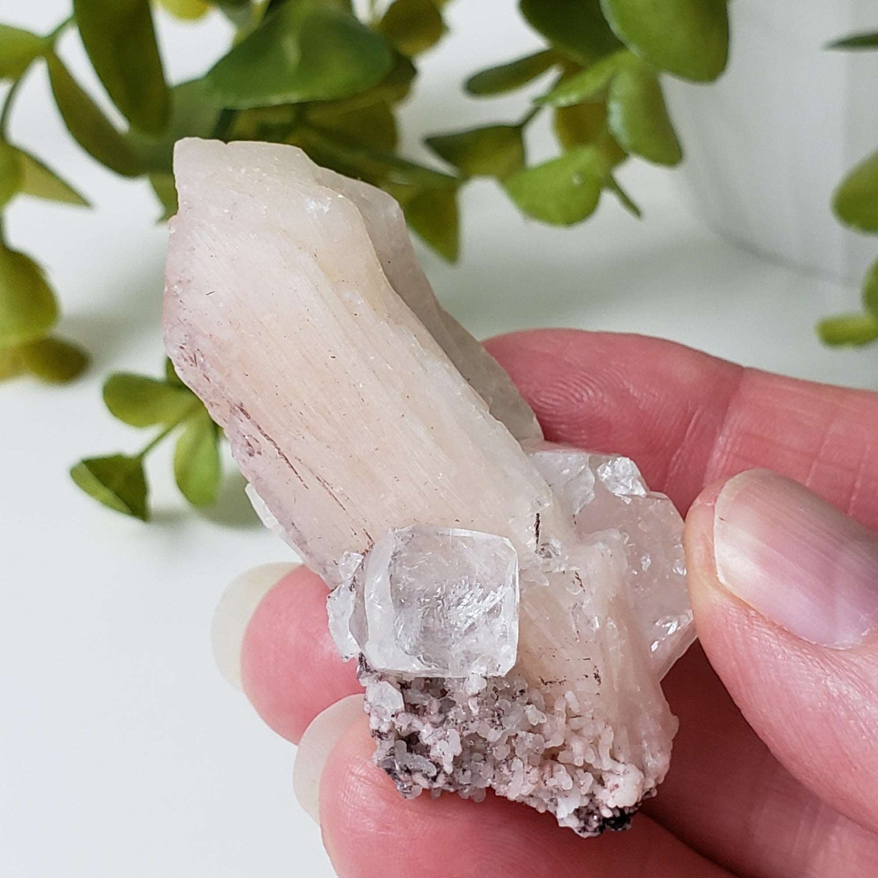  Apophyllite on Stilbite Crystal | 42.4 grams | Jalgaon, India 