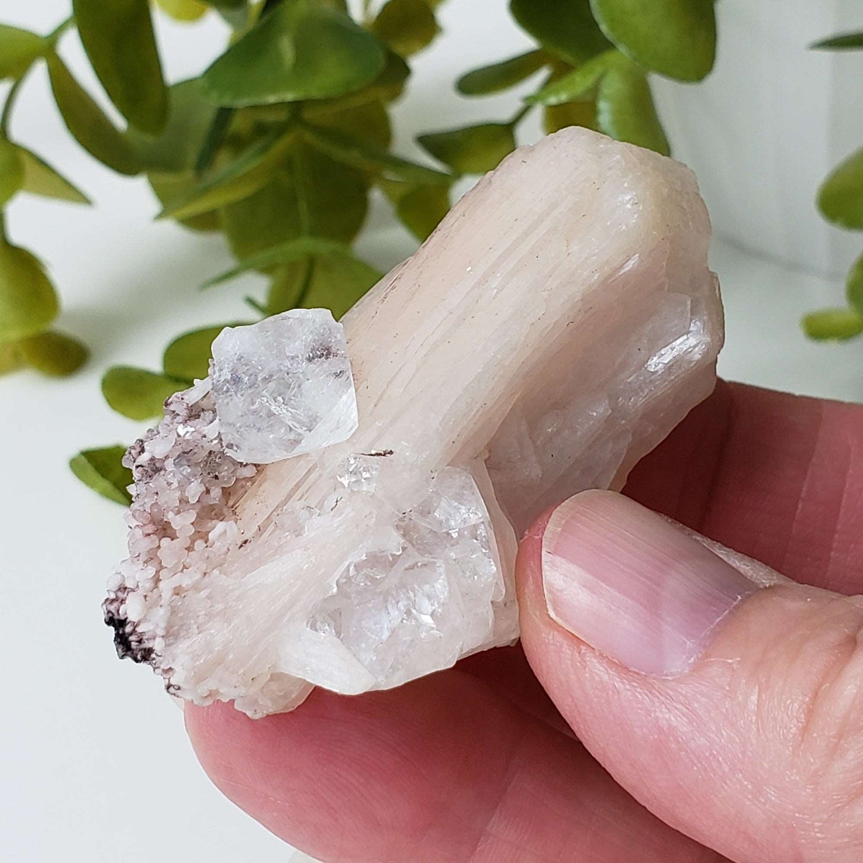  Apophyllite on Stilbite Crystal | 42.4 grams | Jalgaon, India 