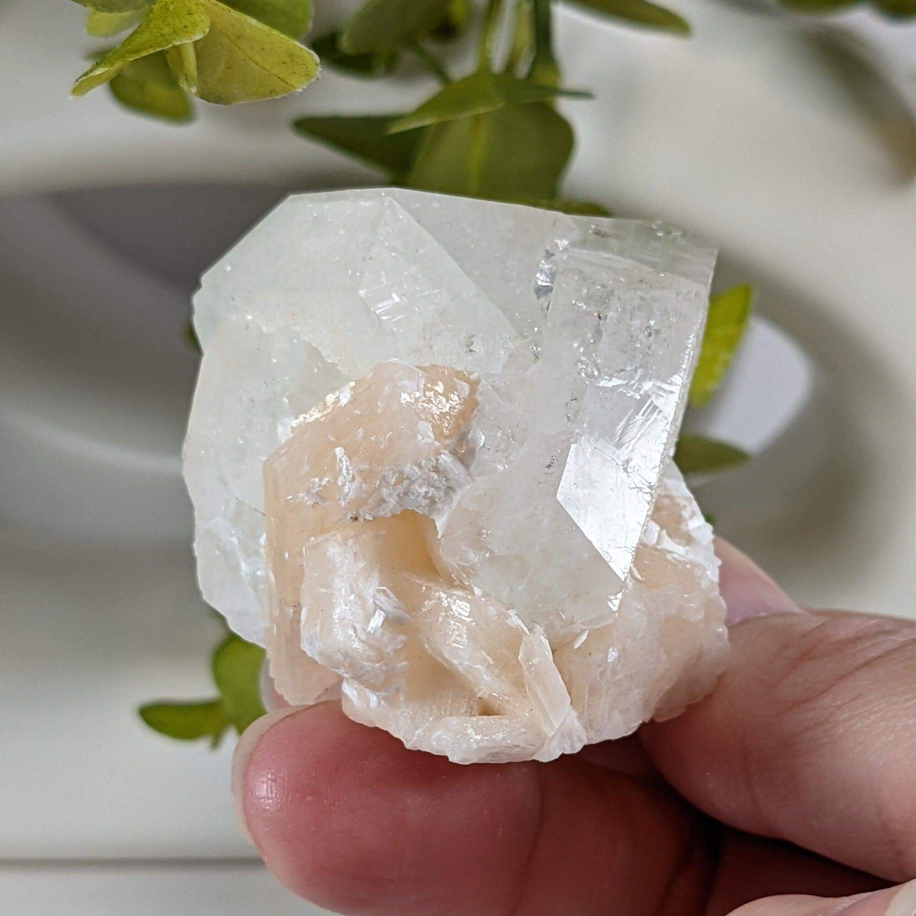  Apophyllite Stilbite Crystal | 105.4 grams | Jalgaon, India 