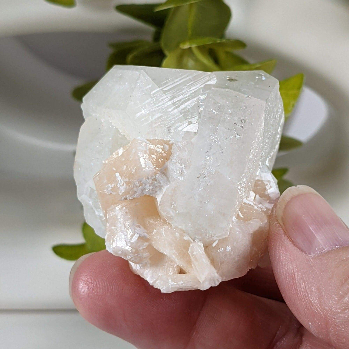  Apophyllite Stilbite Crystal | 105.4 grams | Jalgaon, India 