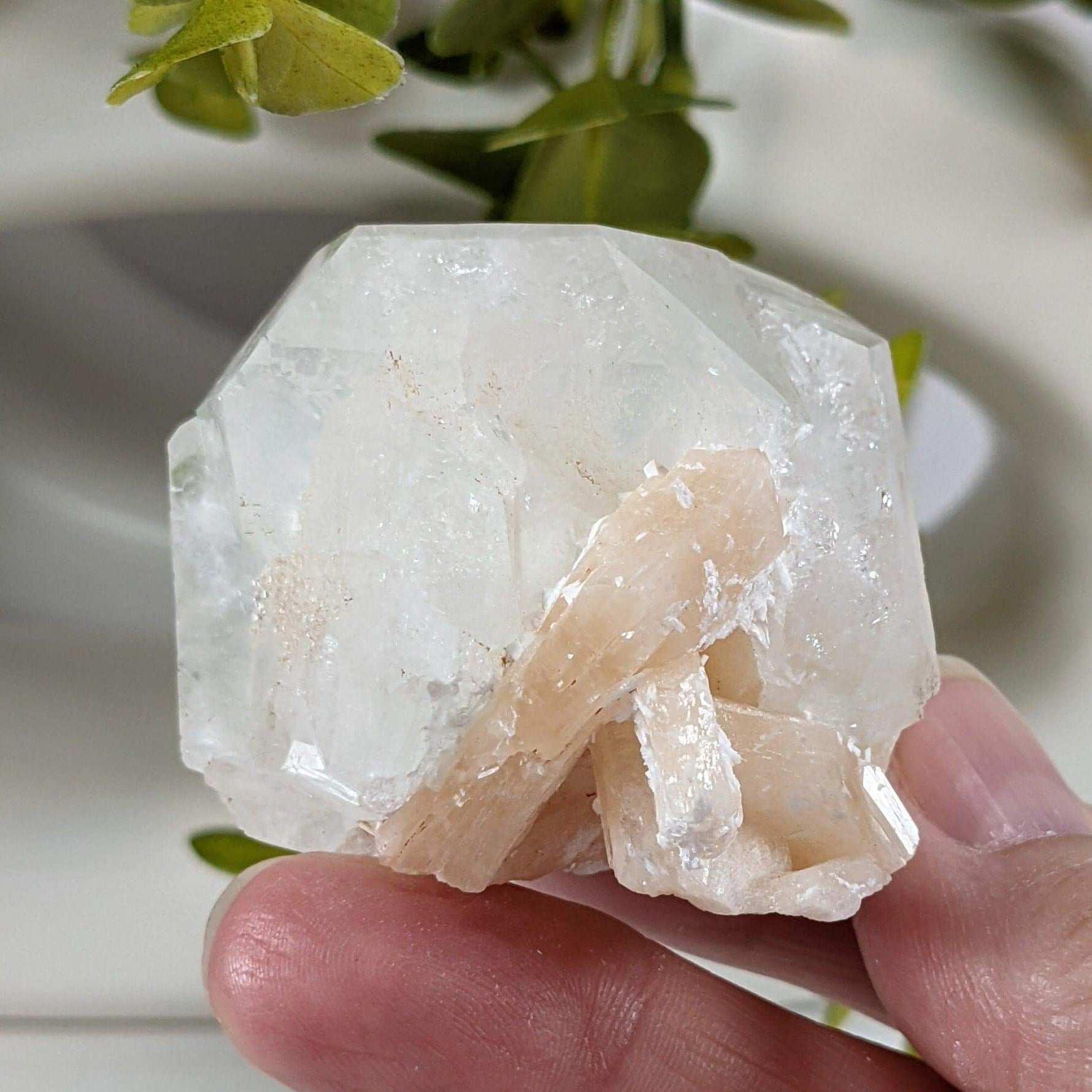  Apophyllite Stilbite Crystal | 105.4 grams | Jalgaon, India 