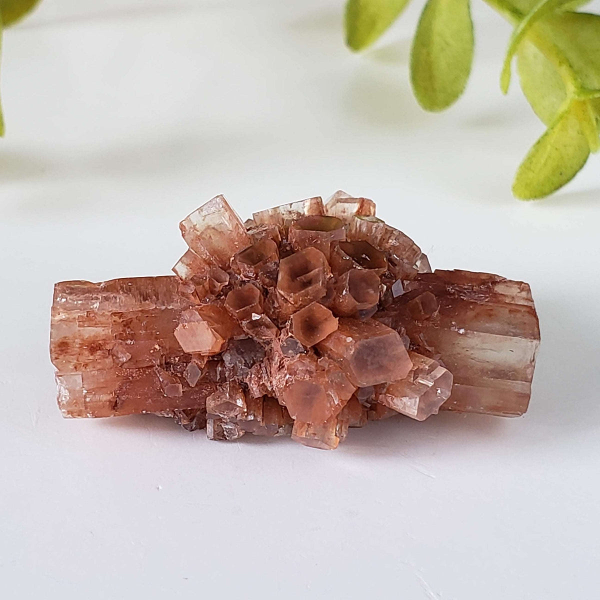  Aragonite Star Cluster | Amazing Terminations | 15.1 grams | Sefrou Ata, Morocco 