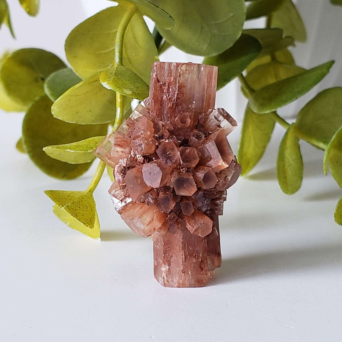  Aragonite Star Cluster | Amazing Terminations | 15.1 grams | Sefrou Ata, Morocco 