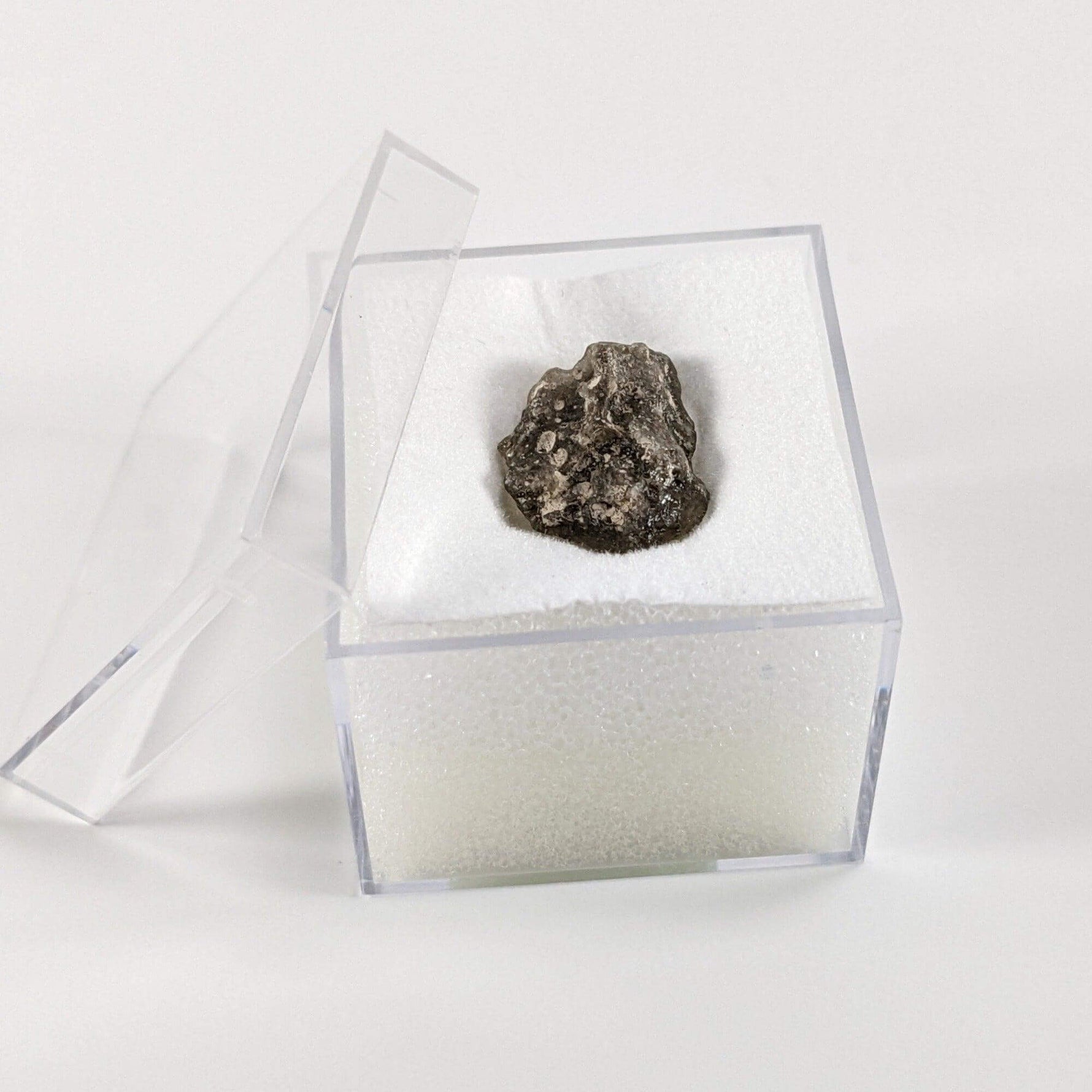 Authentic Darwin Glass Tektite | 0.5 Grams | Darwinite Impactite | Tasmania