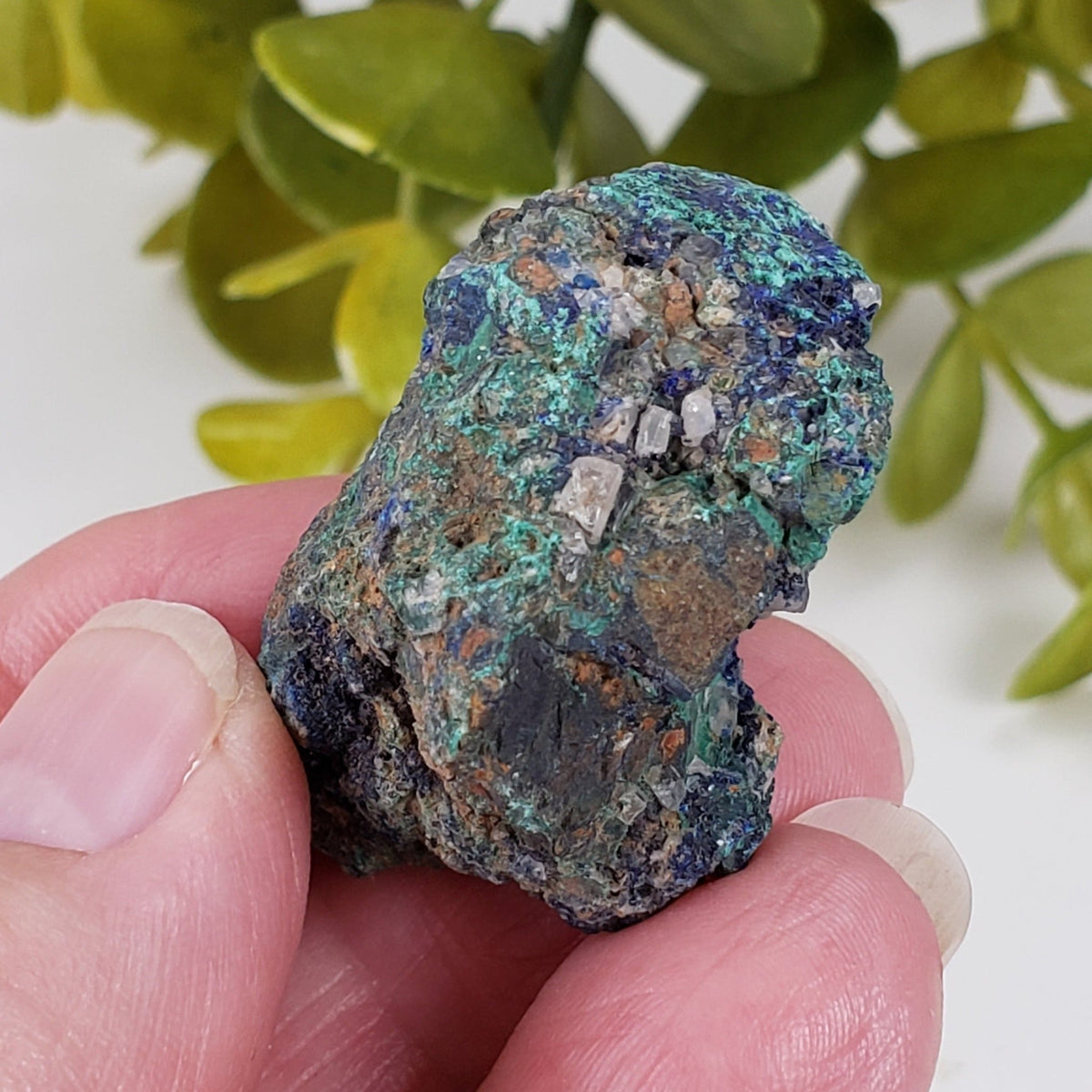  Azurite, Malachite and Quartz 28.7 grams  from Zacatecas, Mexico 