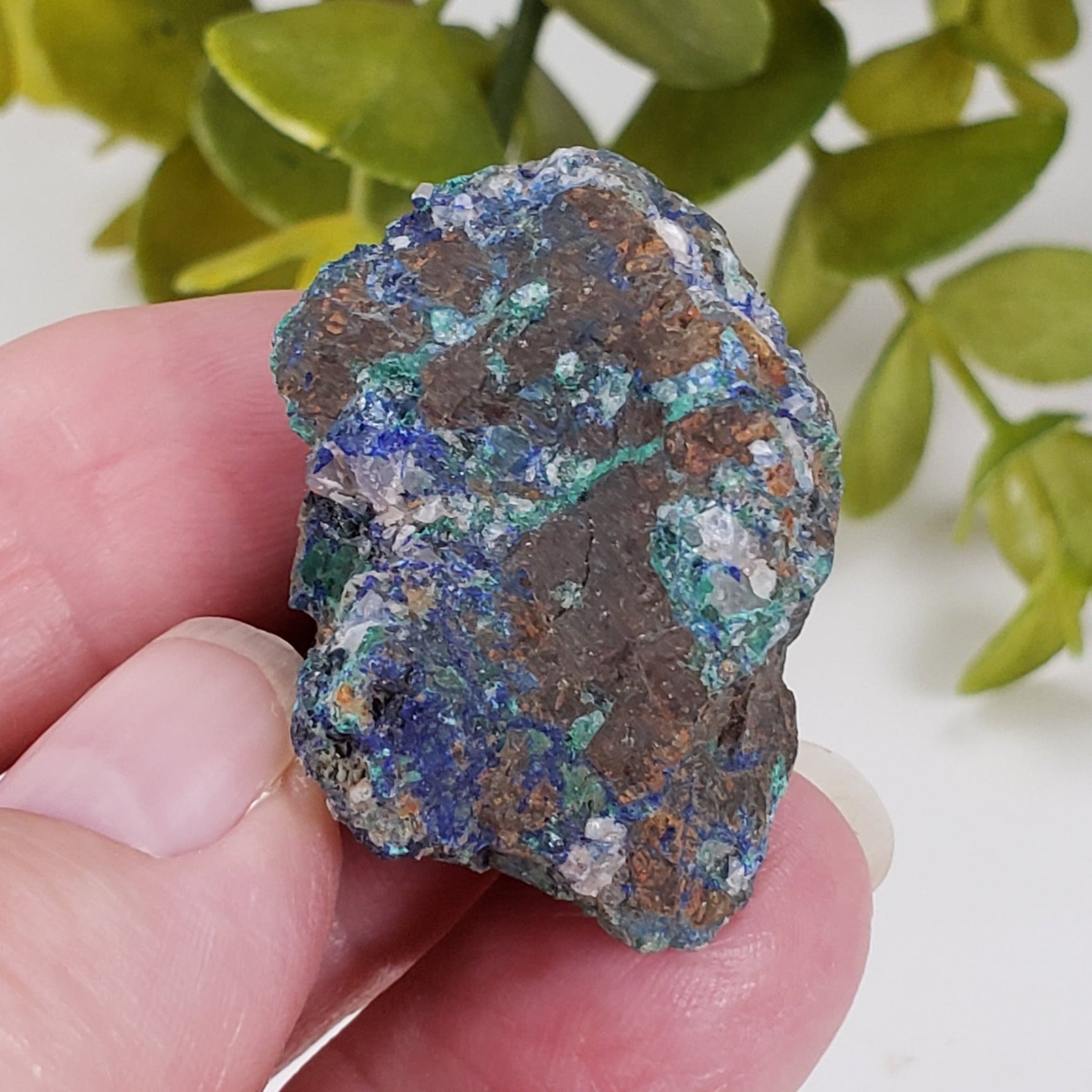  Azurite, Malachite and Quartz 28.7 grams  from Zacatecas, Mexico 