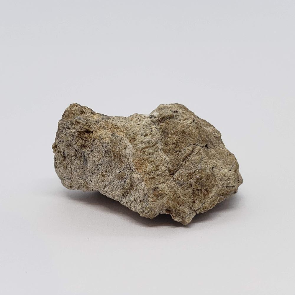 Bilanga Meteorite | 4.68 Gram | Individual | Diogenite | 1999 Rare Observed fall | Canagem.com
