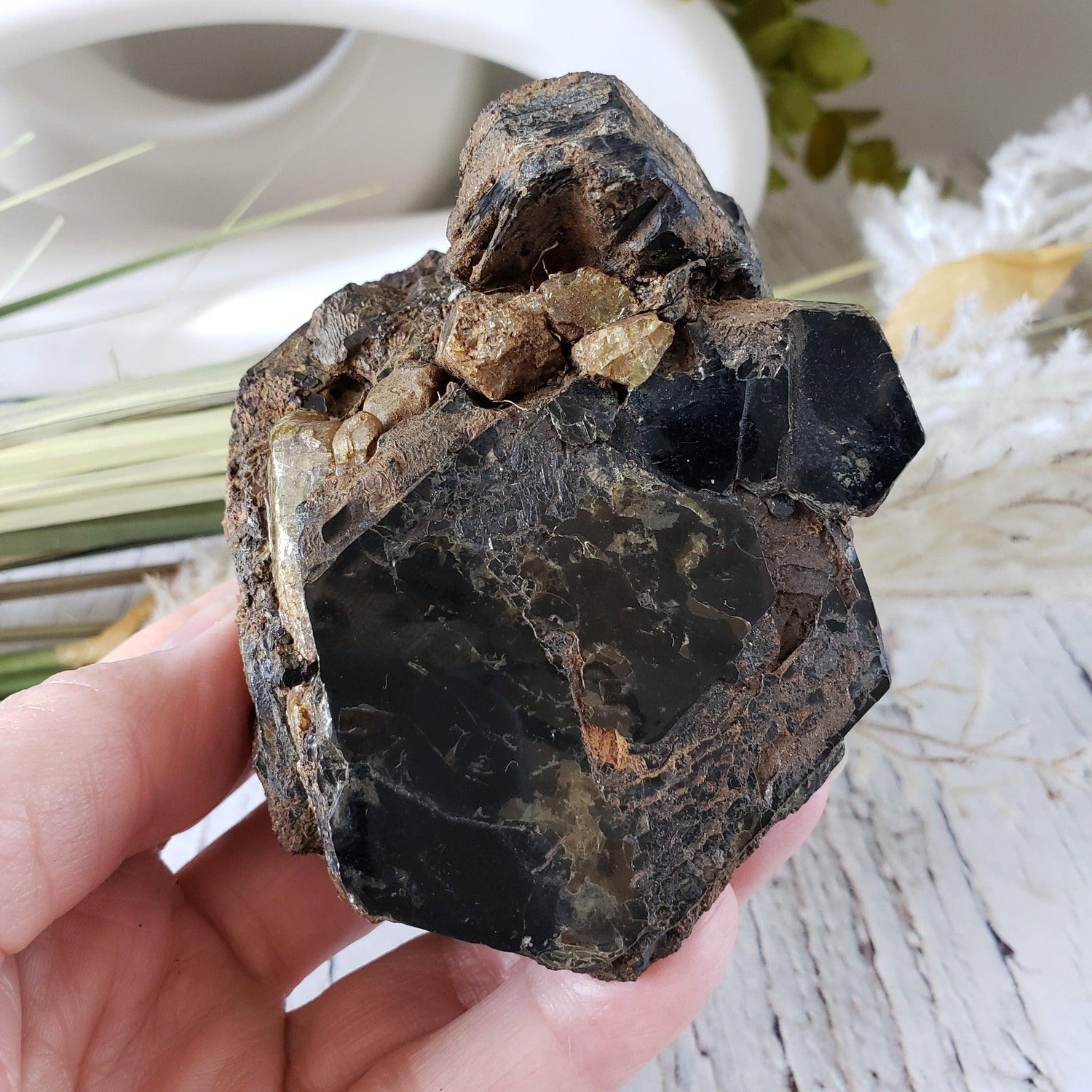  Biotite Mica and Apatite Crystals | 437 Grams | Tory Hill, Ontario Canada 