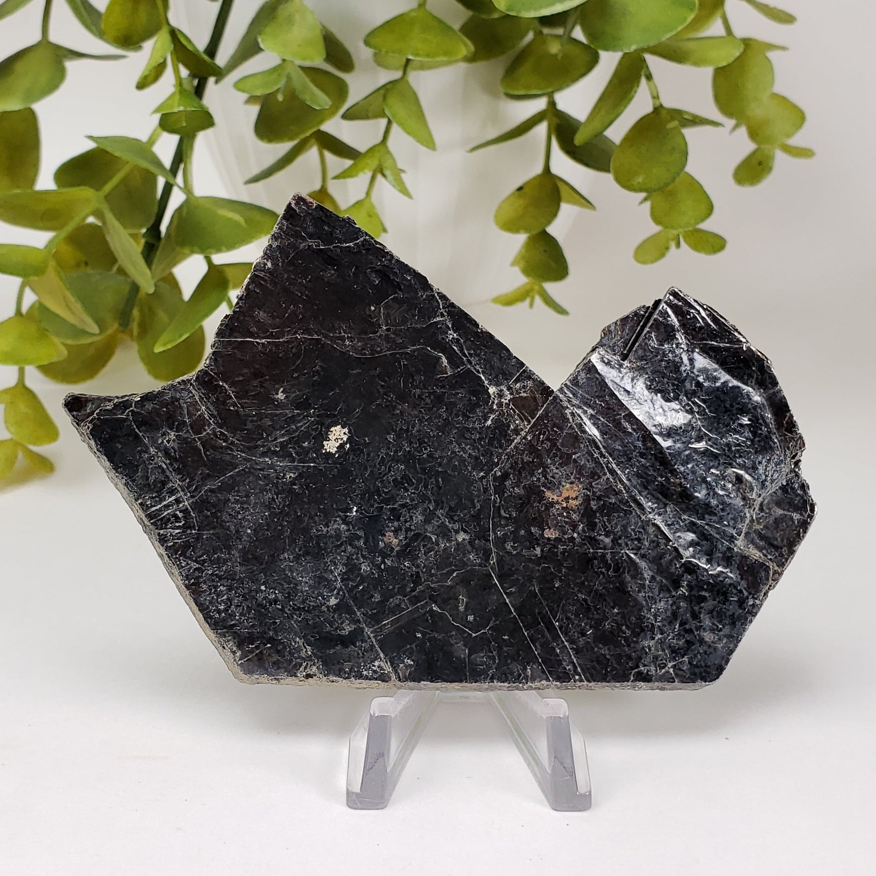  Biotite Mica Book | Black Crystal | 55.6 Grams | Ontario, Canada 