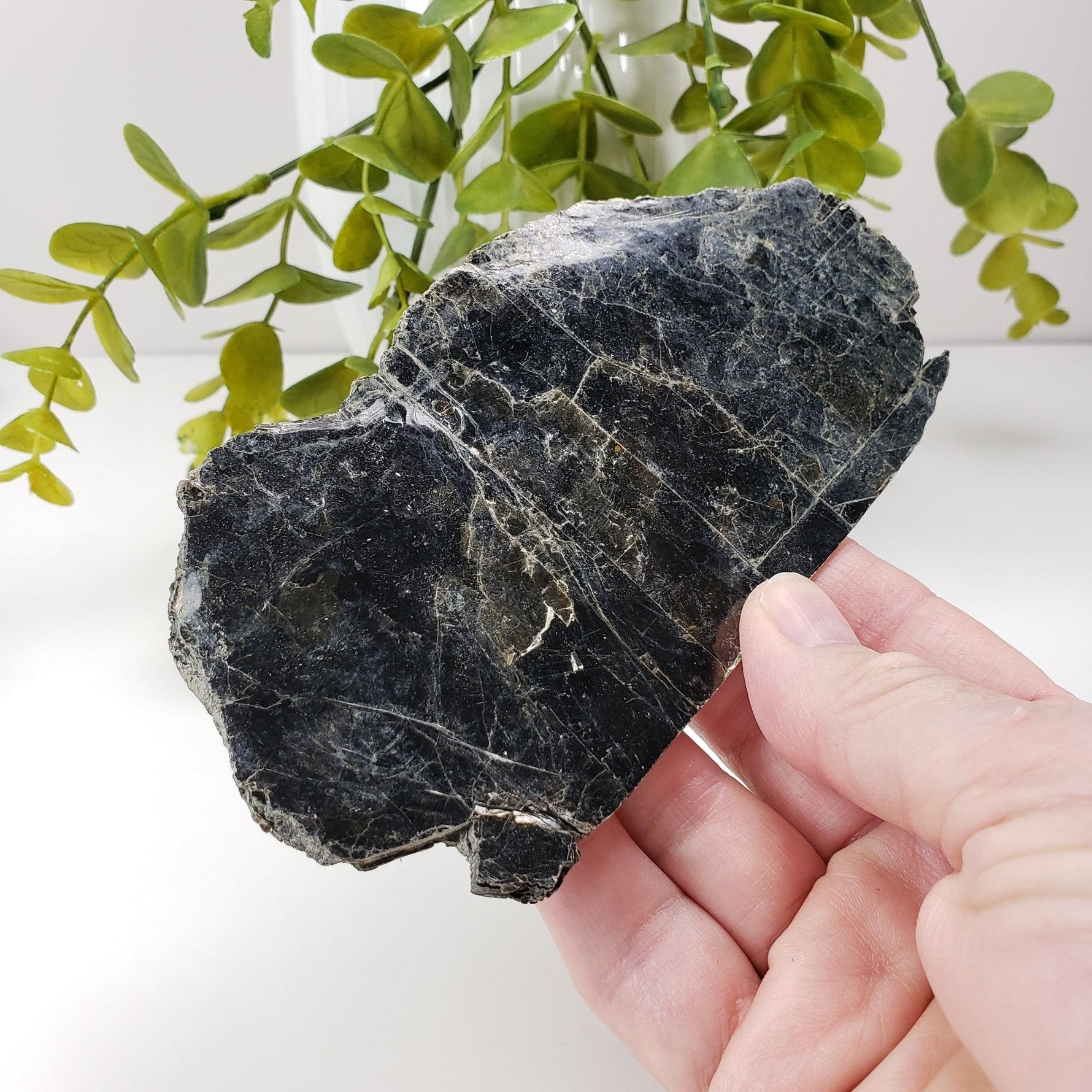  Biotite Mica Book | Black Crystal | 68 Grams | Ontario, Canada 