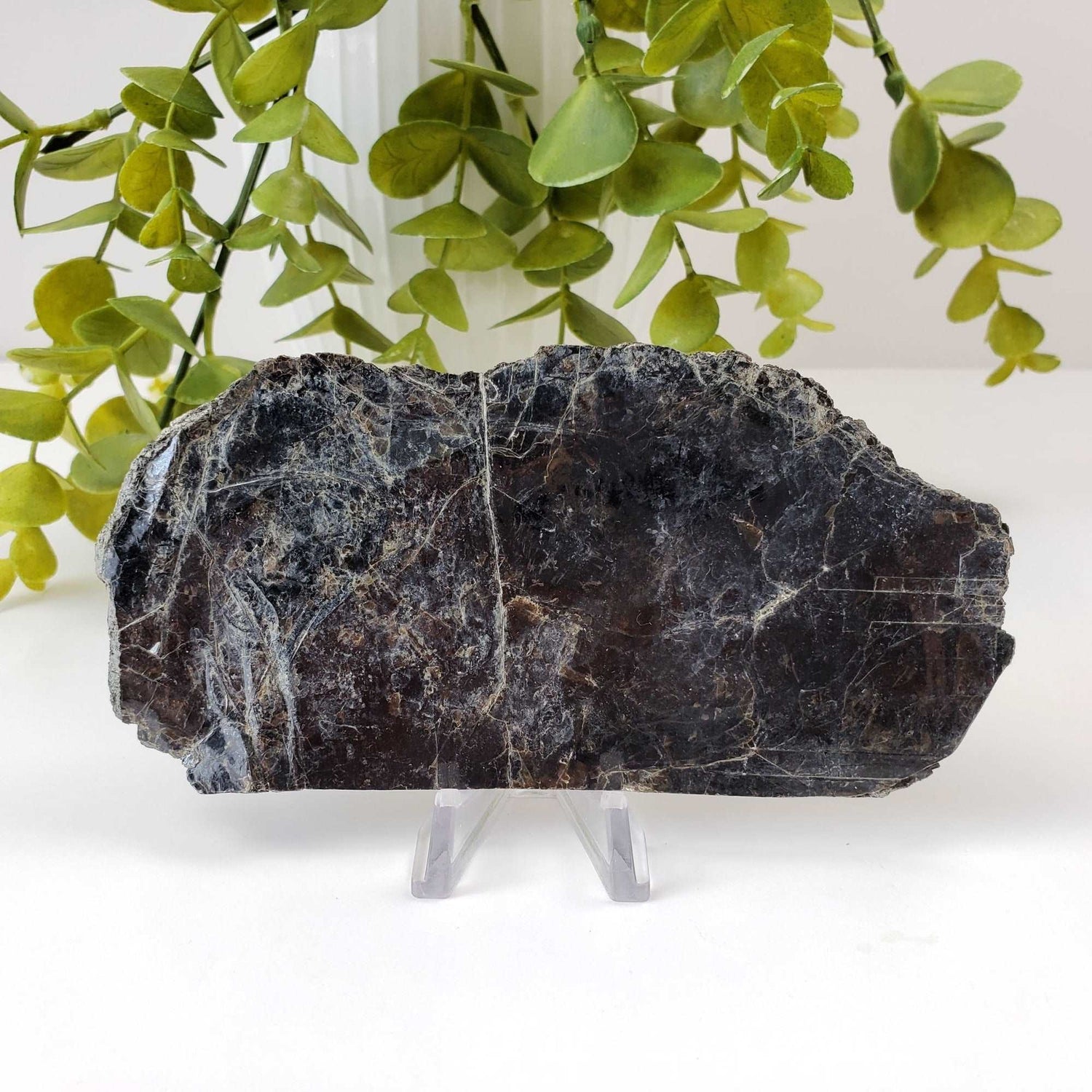  Biotite Mica Book | Black Crystal | 71 Grams | Ontario, Canada 