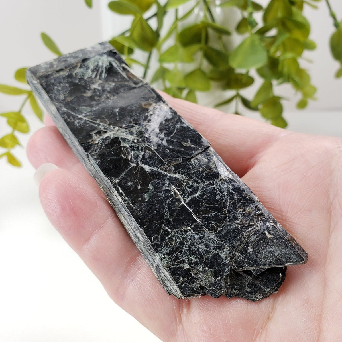  Biotite Mica Book | Black Crystals | 68.5 Grams | Ontario, Canada 