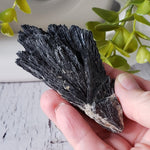 Black Kyanite with Quartz | Mineral Crystal | 104.36 grams | Marilac, Minas Gerais, Brazil