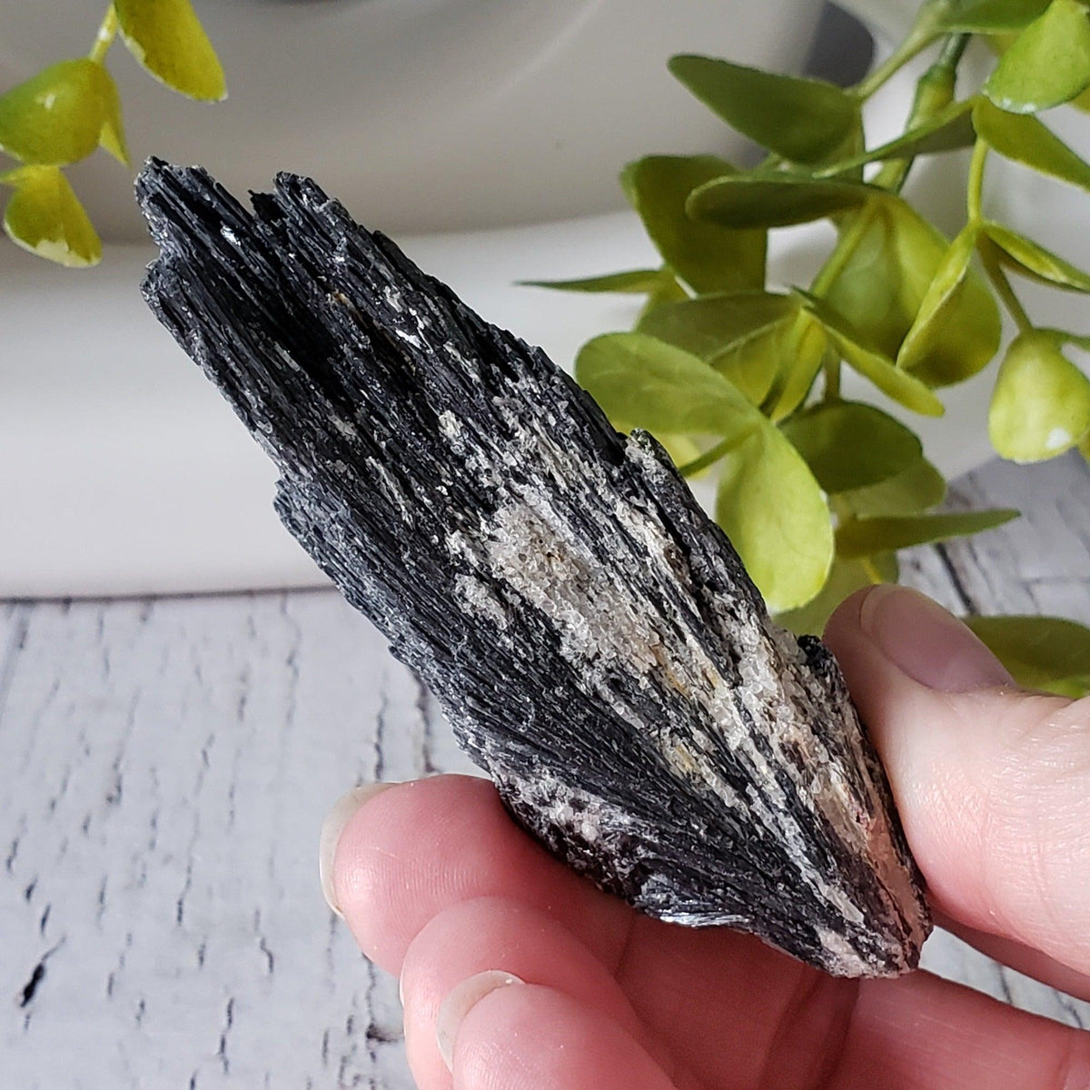 Black Kyanite with Quartz | 104.36 grams | Marilac, Minas Gerais, Brazil | Canagem.com