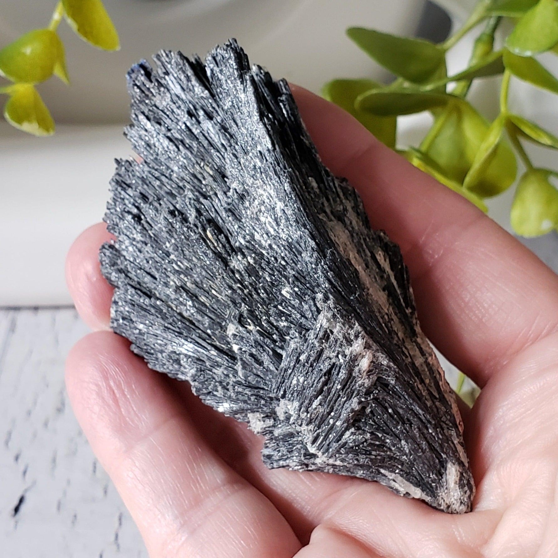 Black Kyanite with Quartz | 104.36 grams | Marilac, Minas Gerais, Brazil | Canagem.com