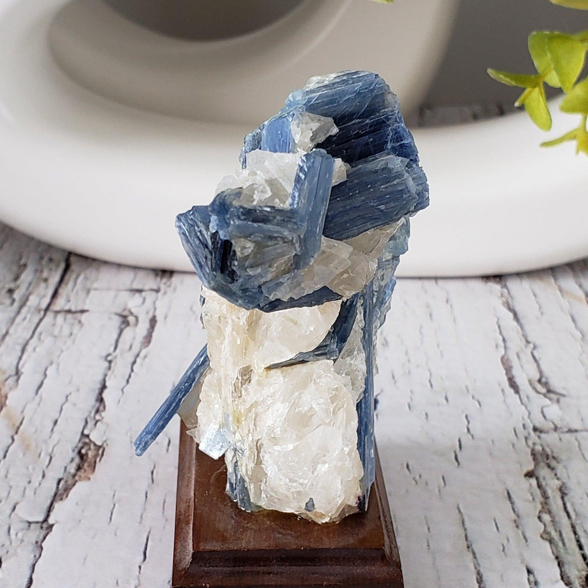  Blue Kyanite Blades and Quartz on stand 271 grams from Minas Gerais, Brazil 