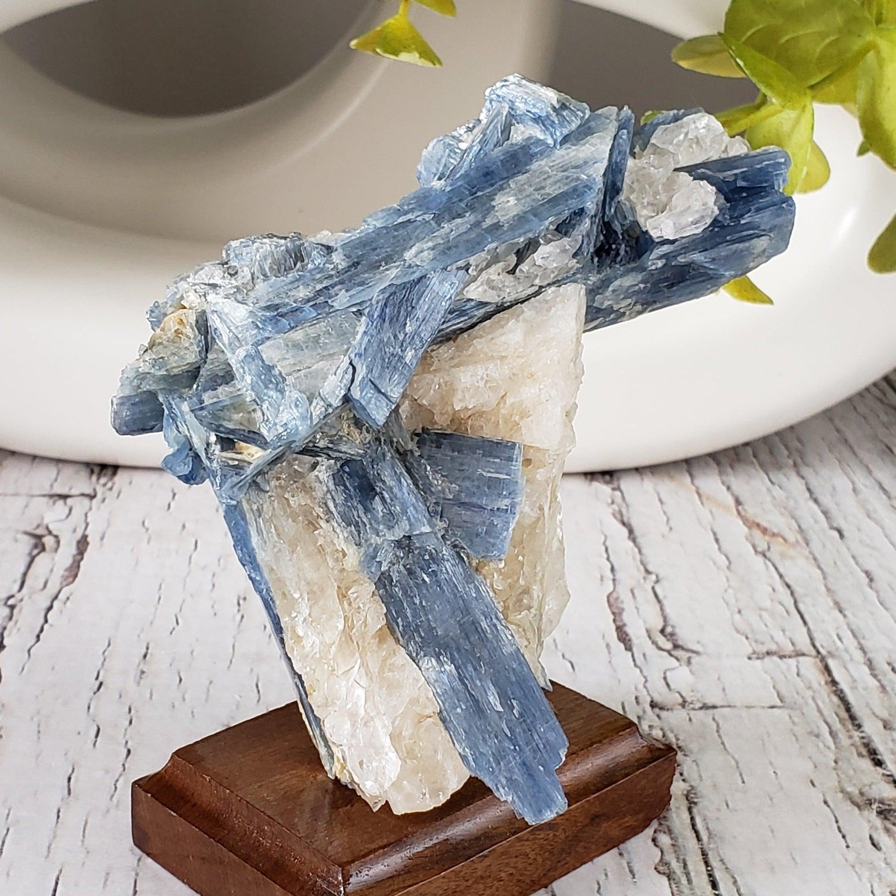  Blue Kyanite Blades and Quartz on stand 271 grams from Minas Gerais, Brazil 