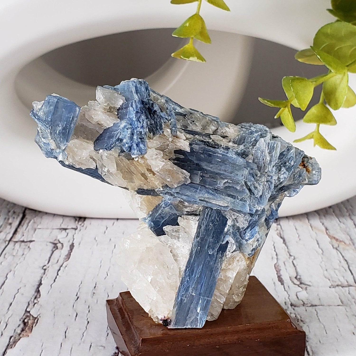  Blue Kyanite Blades and Quartz on stand 271 grams from Minas Gerais, Brazil 