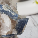 Blue Kyanite Terminated Blades, Quartz and Staurolite Mineral Crystal on stand, 173 grams, Minas Gerais, Brazil
