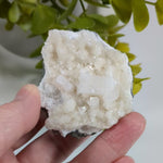 Apophyllite and Prehnite Crystal Cluster | 153 grams | Bombay, India