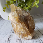 Calcite Crystal Spray | Amber Golden | 395+ grams | Mexico