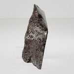  Huge Campo del Cielo Meteorite 1.8 KG Part End Cut Iron IAB-MG 