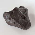  Massive Campo del Cielo Meteorite 5.594 Kg Individual Iron IAB-MG from Argentina 