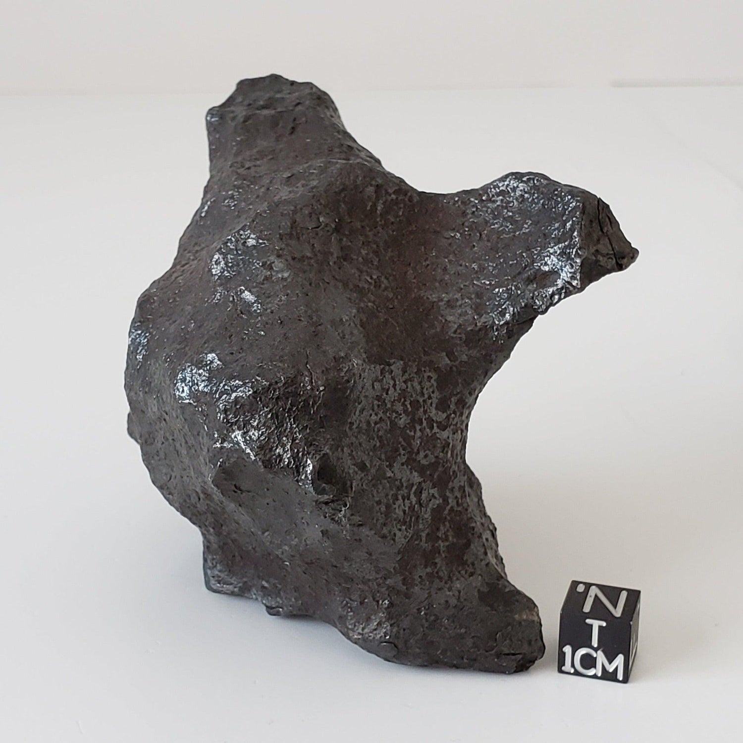  Canyon Diablo Meteorite 1,053 Grams Oriented Individual Iron IAB-MG Premium 