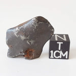  Canyon Diablo Meteorite 11 Grams Individual Iron IAB-MG from Arizona U.S.A. 