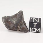  Canyon Diablo Meteorite 11.6 Grams Individual Iron IAB-MG from Arizona U.S.A. 