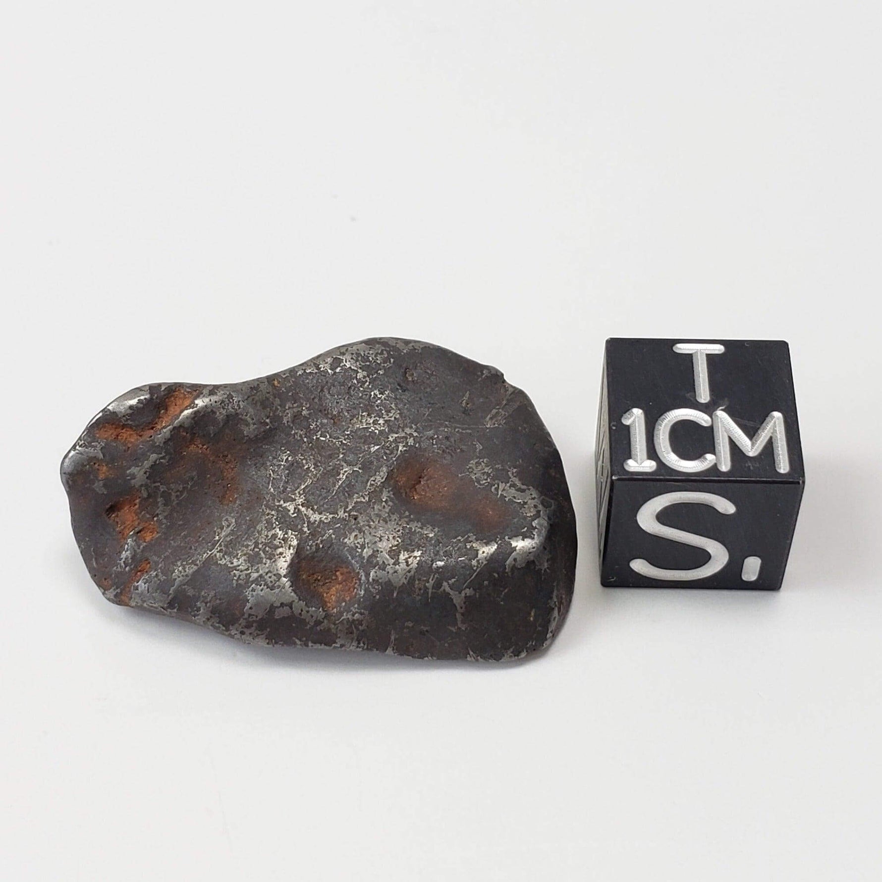  Canyon Diablo Meteorite 11.8 Grams Individual Iron IAB-MG from Arizona U.S.A. 