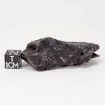  Canyon Diablo Meteorite 80.59 Grams Individual Iron IAB-MG USA 