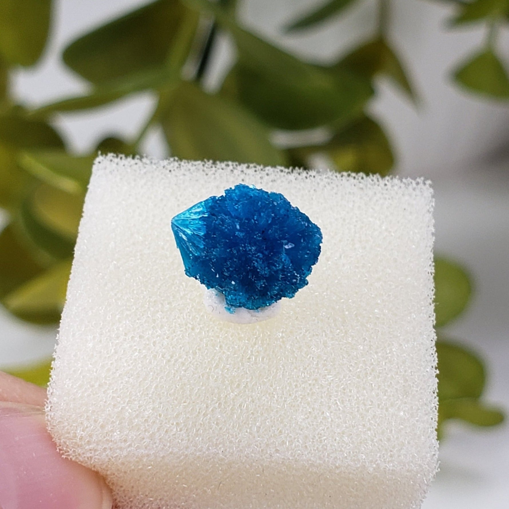  A - Cavansite Crystal | Perky Box Thumbnail Specimen | Wagholi Quarry | Poona, India 