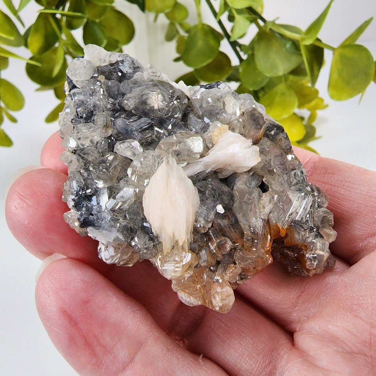  Cerussite Crystals | White Barite Blades | Galena Matrix Mineral | 145.3 gr | Morocco 