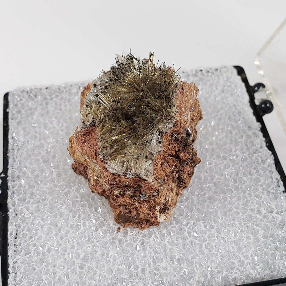 Chalcophanite on Scholzite | Display Box | Rare Combination | Reaphook Hill, South Australia