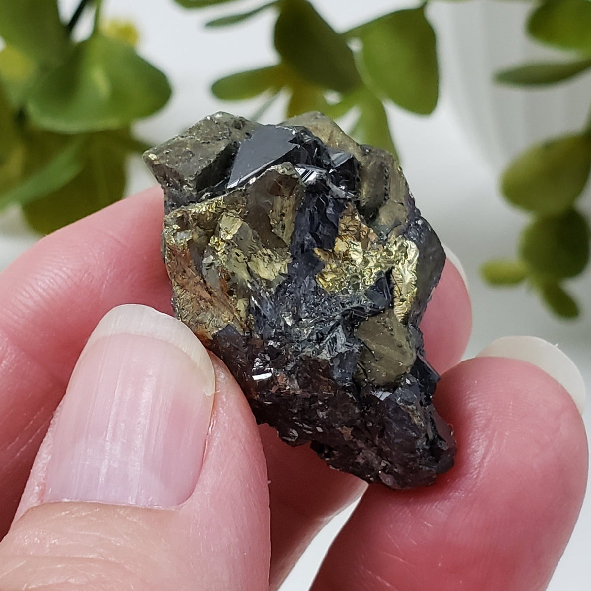 Chalcopyrite and Sphalerite Crystal Cluster | 25.3 grams | China