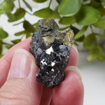 Chalcopyrite and Sphalerite Crystal Cluster | 25.3 grams | China