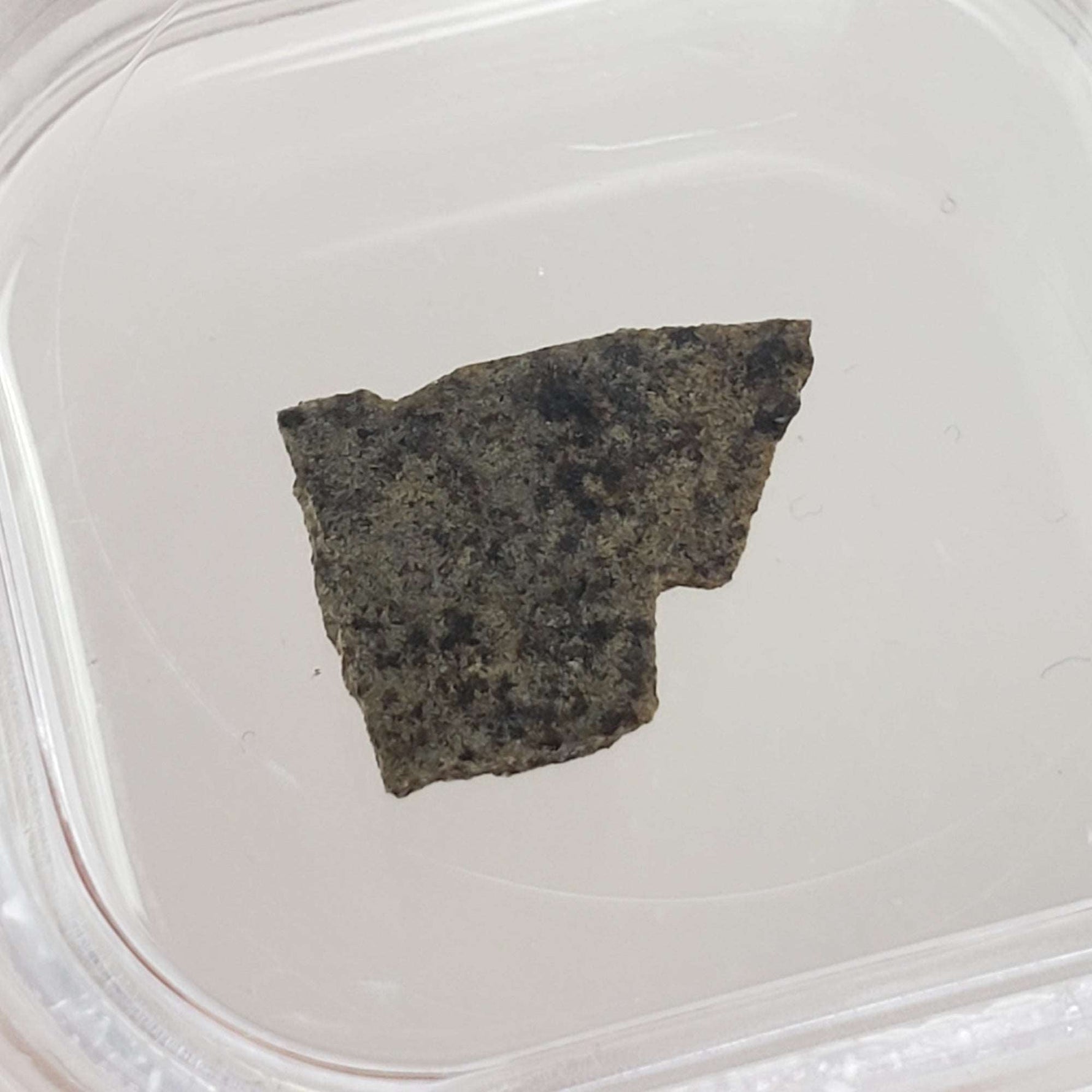 Dhofar 019 Meteorite | .360 Gr | Slice | Martian Basaltic Shergottite | Mars | Rare | Canagem.com
