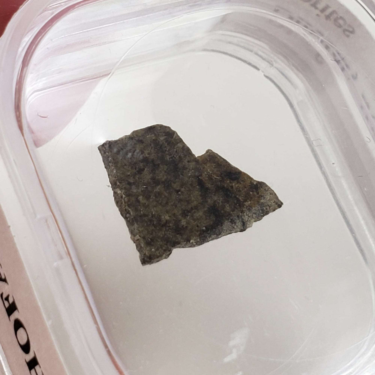 Dhofar 019 Meteorite | .360 Gr | Slice | Martian Basaltic Shergottite | Mars | Rare | Canagem.com