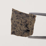 Dhofar 019 Meteorite | .382 Gr | Slice | Martian Basaltic Shergottite | Mars | Rare