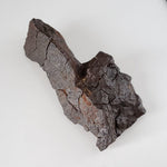 Dhofar 020 Meteorite | 159.67 Grams | Individual | H4-5 Shocked Chondrite | Sahara Y2K