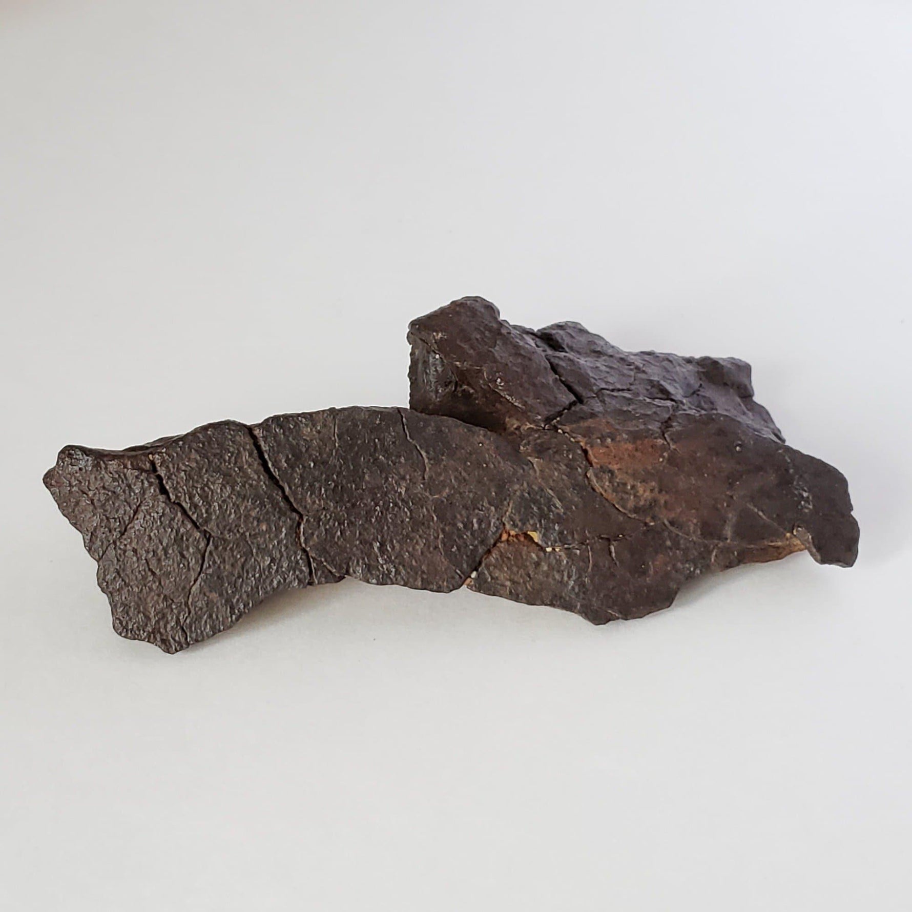 Dhofar 020 Meteorite | 159.67 Grams | Individual | H4-5 Shocked Chondrite | Sahara Y2K