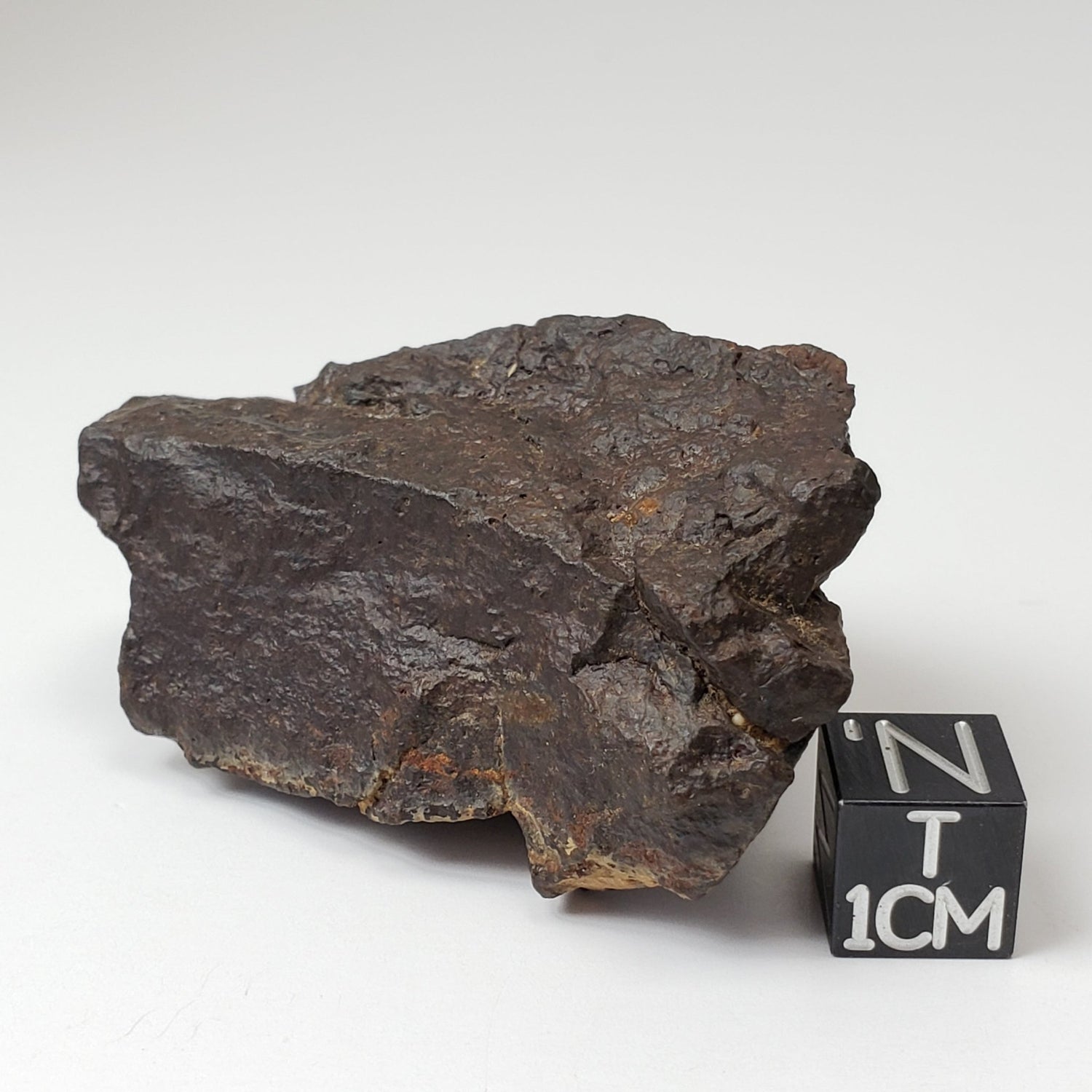 Dhofar 020 Meteorite | 67 Grams | Individual | H4/5 Shocked Chondrite | Oman Sahara Y2K | Canagem.com