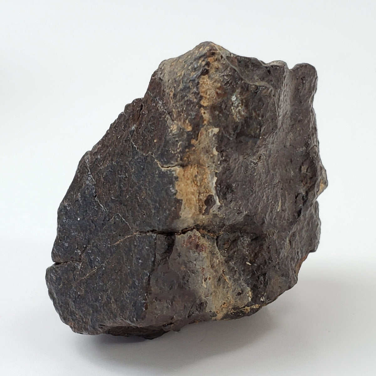 Dhofar 020 Meteorite | 73.5 Grams | Individual | H4/5 Shocked Chondrite | Oman Sahara Y2K | Canagem.com