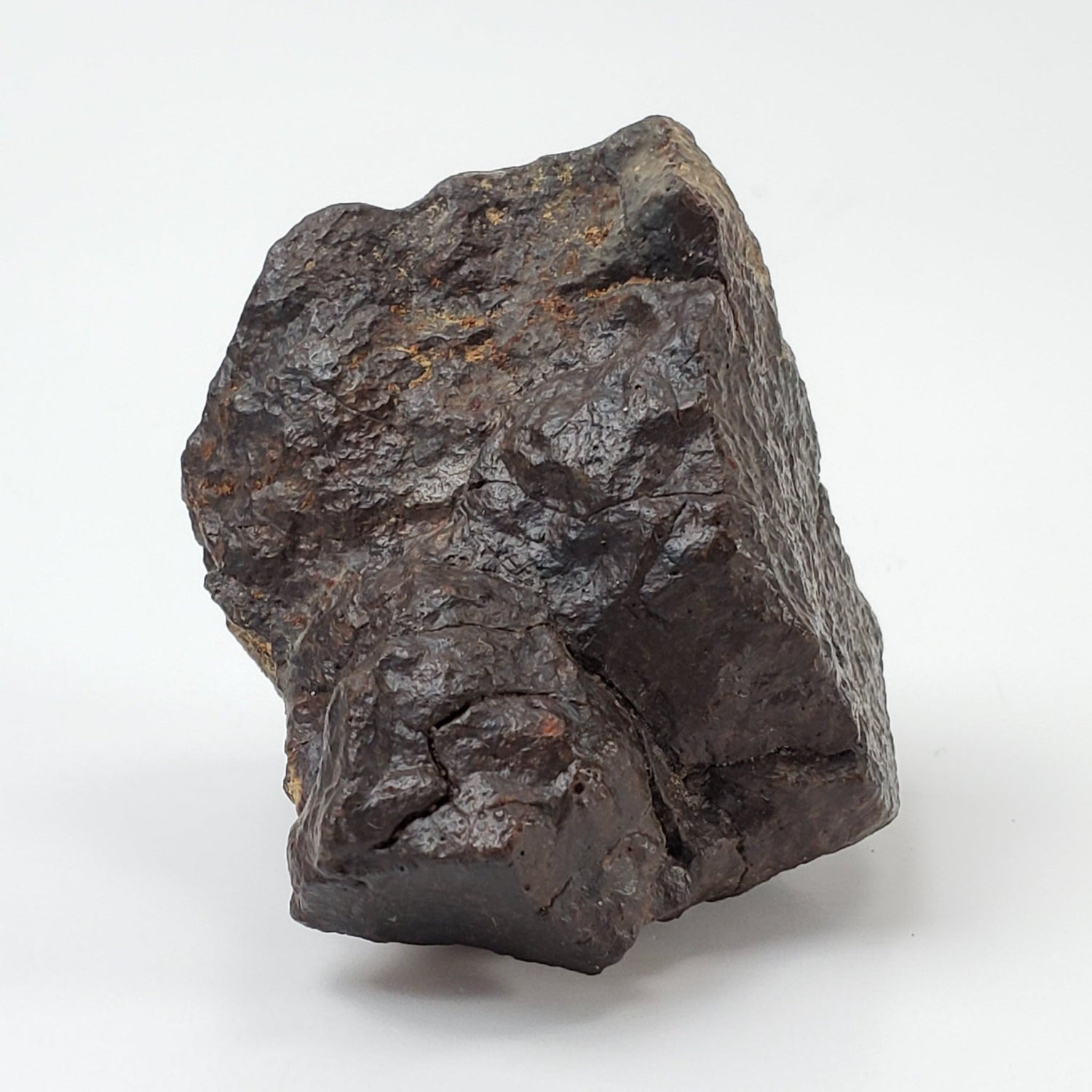 Dhofar 020 Meteorite | 73.5 Grams | Individual | H4/5 Shocked Chondrite | Oman Sahara Y2K
