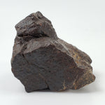 Dhofar 020 Meteorite | 73.5 Grams | Individual | H4/5 Shocked Chondrite | Oman Sahara Y2K | Canagem.com