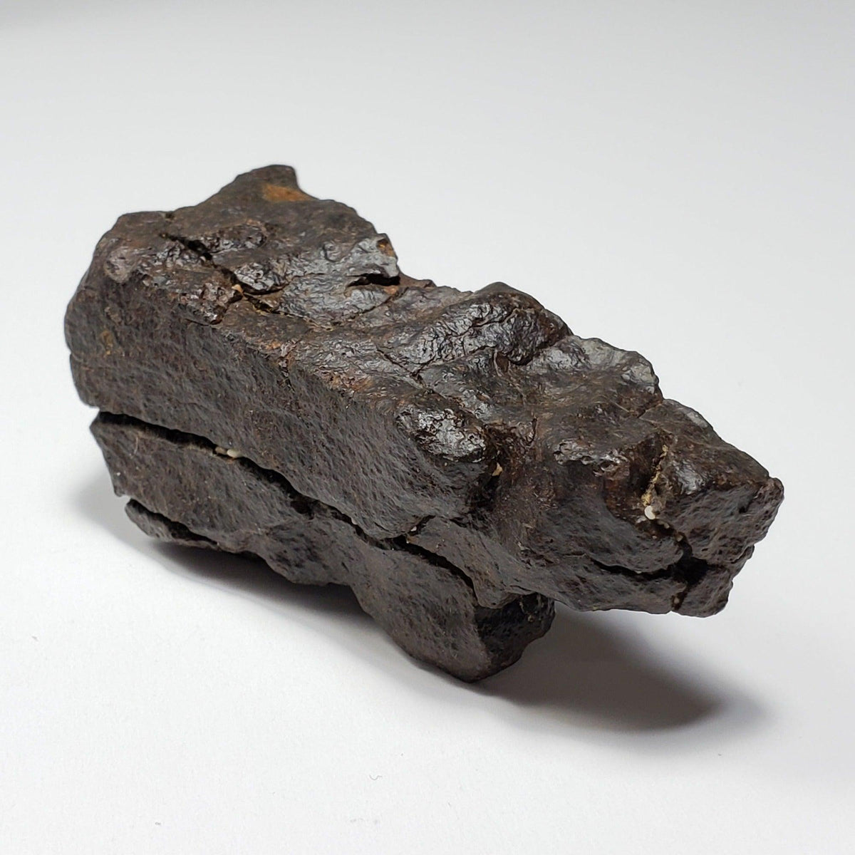 Dhofar 020 Meteorite | 82.14 Grams | Individual | H4-5 Shocked Chondrite | Sahara | Y2K