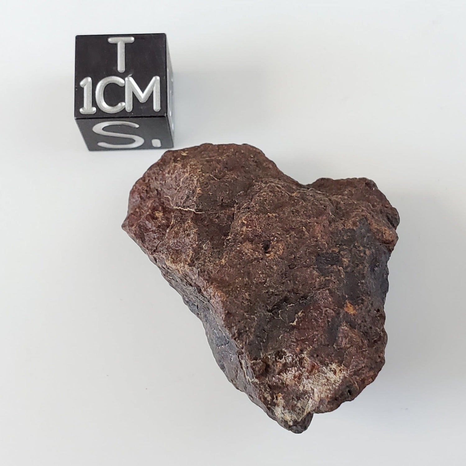 Dhofar 221 Meteorite | 15.38 Grams | Individual | L5 Shocked Chondrite | Sahara