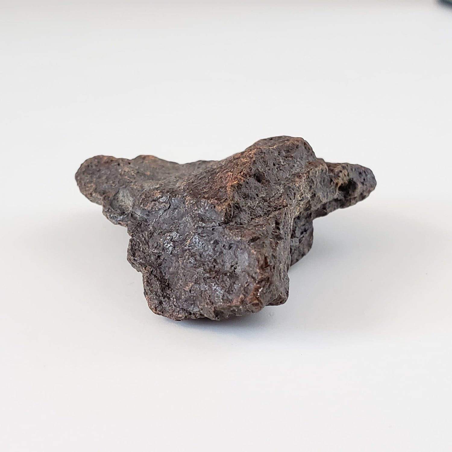 Dhofar 221 Meteorite | 16.73 Grams | Individual | L5 Shocked Chondrite | Sahara
