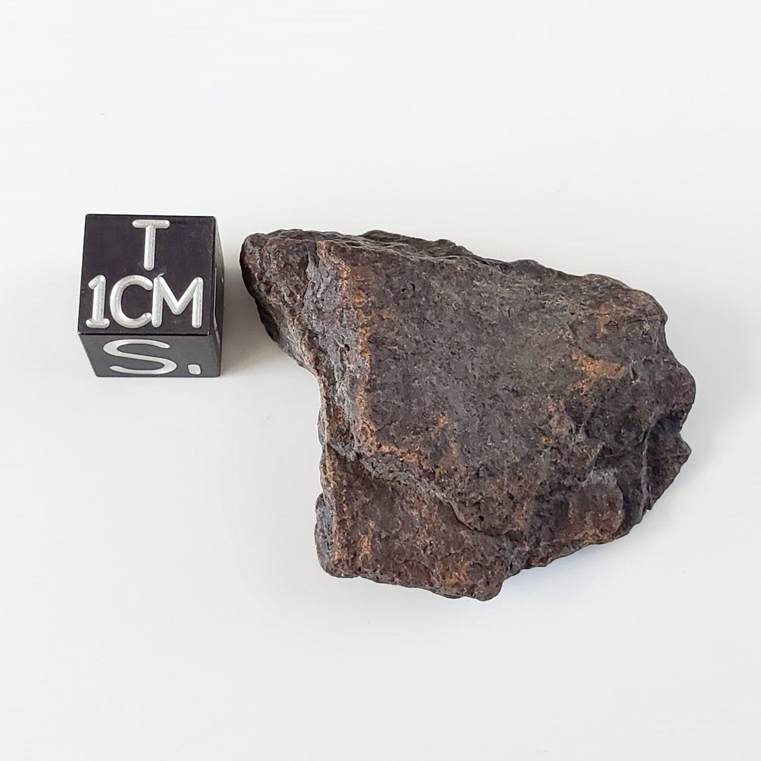 Dhofar 221 Meteorite | 16.73 Grams | Individual | L5 Shocked Chondrite | Sahara